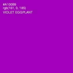 #A100B9 - Violet Eggplant Color Image